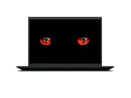 _Lenovo ThinkPad P1 G4-2.jpg