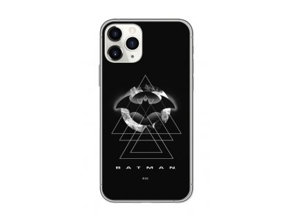 _Back Case Batman 009.jpg