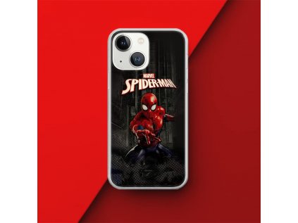 _Back Case Spider Man 007.jpg