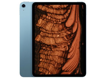 _Apple iPad Air 5-1.jpg