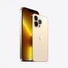 iphone_13_pro_gold_pdp_image_position-2__wwen_6.jpg