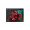 _Lenovo ThinkPad X1 Tablet G3-0.jpg