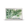 _apple-macbook-air-13-early-2015-silver-3.jpg