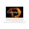 _Acer ConceptD 3 CN316-73G-1.jpg