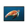 _Microsoft Surface Pro 10 for Business.jpg