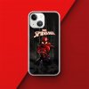 _Back Case Spider Man 007.jpg