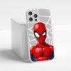 Back Case Spider Man 012-5.jpg