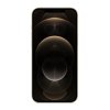 Apple iPhone 12 Pro Max 256GB Gold-1.jpg