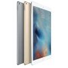 Apple iPad Pro 12.9 (2015)-space gray-2.jpg