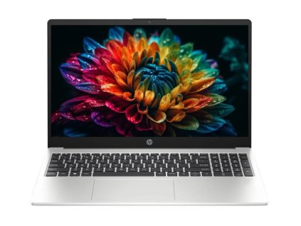 _HP 255R G10-silv-1.jpg