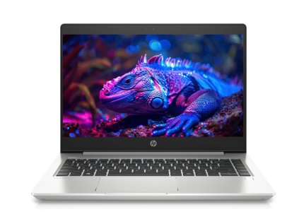 _HP ProBook 445 G6-2.jpg