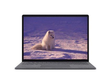 _Microsoft Surface Laptop 4-1.jpg