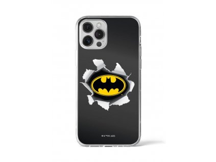 _Back Case Batman 059 iPhone.jpg