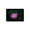 _microsoft-surface-go-10-01-1.jpg