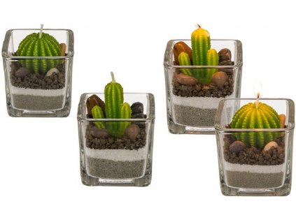 Dekoratívna sviečka v skle - Kaktus