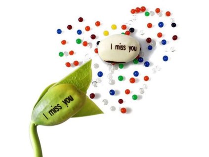 Kouzelná fazolka s nápisem (Fazolky I miss you)