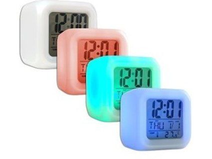 1168 budik chameleon 1