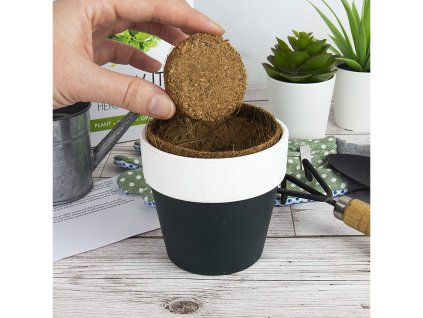 1011 4 grow it bylinky 4