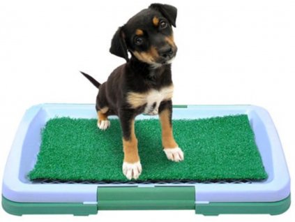 1995 8 toaleta pro psy 9