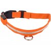 Svítící obojek pro psy oranžový (Velikost M)