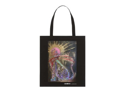 Snímek obrazovky 2025 07 11 v 9.16.08