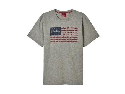 2866366 mens flag bikes print tee gray front