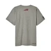 2866366 mens flag bikes print tee gray back