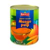 Natco Mango pulp