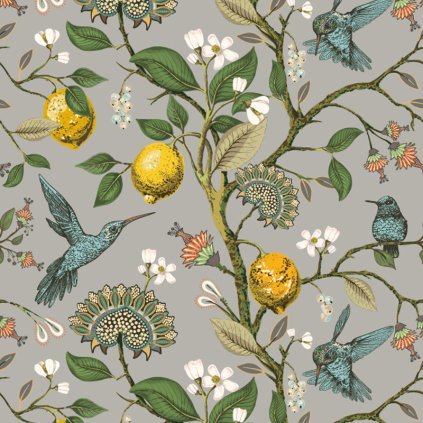 lemond bird
