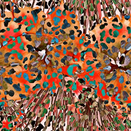 Jungle leopard