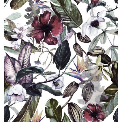 HibiskusOnWhite