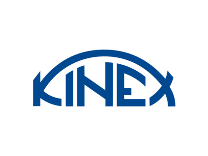 542596 lager 6300 2rs c3 kinex