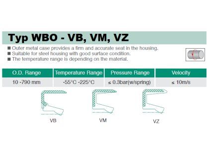 Simmering 14 x 25 x 4 VIBO (VB FKM)