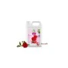 BBQ SIRUP PDF ROSE