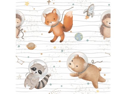 vesmirna dobrodruzstvi