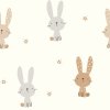 Rabbits White