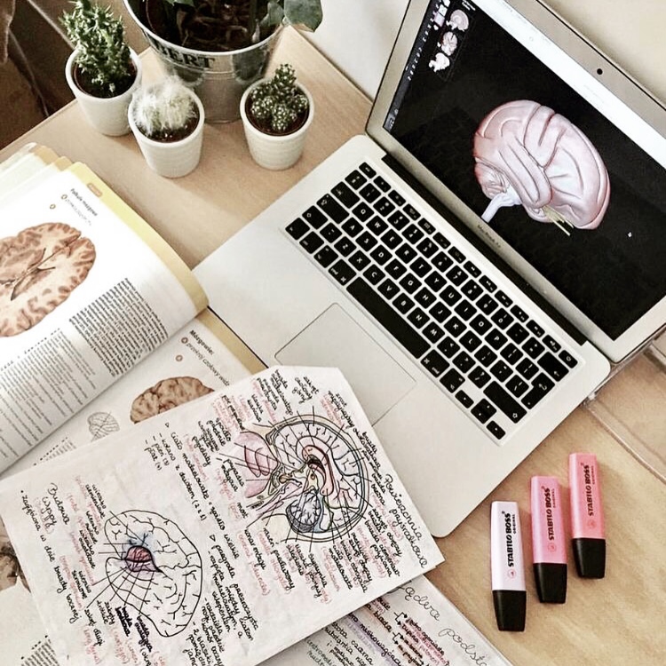 The most important subject in medicine?