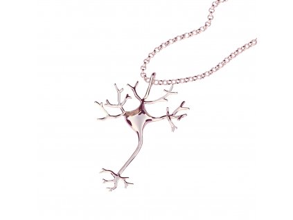 Náhrdelník, šperk, řetízek, Science Jewelry 1824, hypoalergenní, certifikát pravosti, neuron, stříbro, mincovní stříbro, stříbrná, Naszyjnik, biżuteria, łańcuszek, biżuteria naukowa 1824, hipoalergiczny, certyfikat autentyczności, Neuron, srebro, srebro, srebro, certyfikat autentyczności, piękne pudełko, ściereczka do czyszczenia, pudełko upominkowe