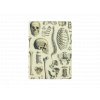 osteologie, poznámky, fyzioterapie, zápisník, blok, sešit, obálka, poznámkový blok, zápisník, recyklovaný papír, sójový inkoust, A5, poznámka, deník, elastická gumička, stránka, strana, list, osteologia, notatki, fizjoterapia, notatnik, blok, notatnik, koperta, notatnik, notatnik, papier makulaturowy, tusz sojowy, A5, notatka, pamiętnik, gumka, strona, strona, arkusz