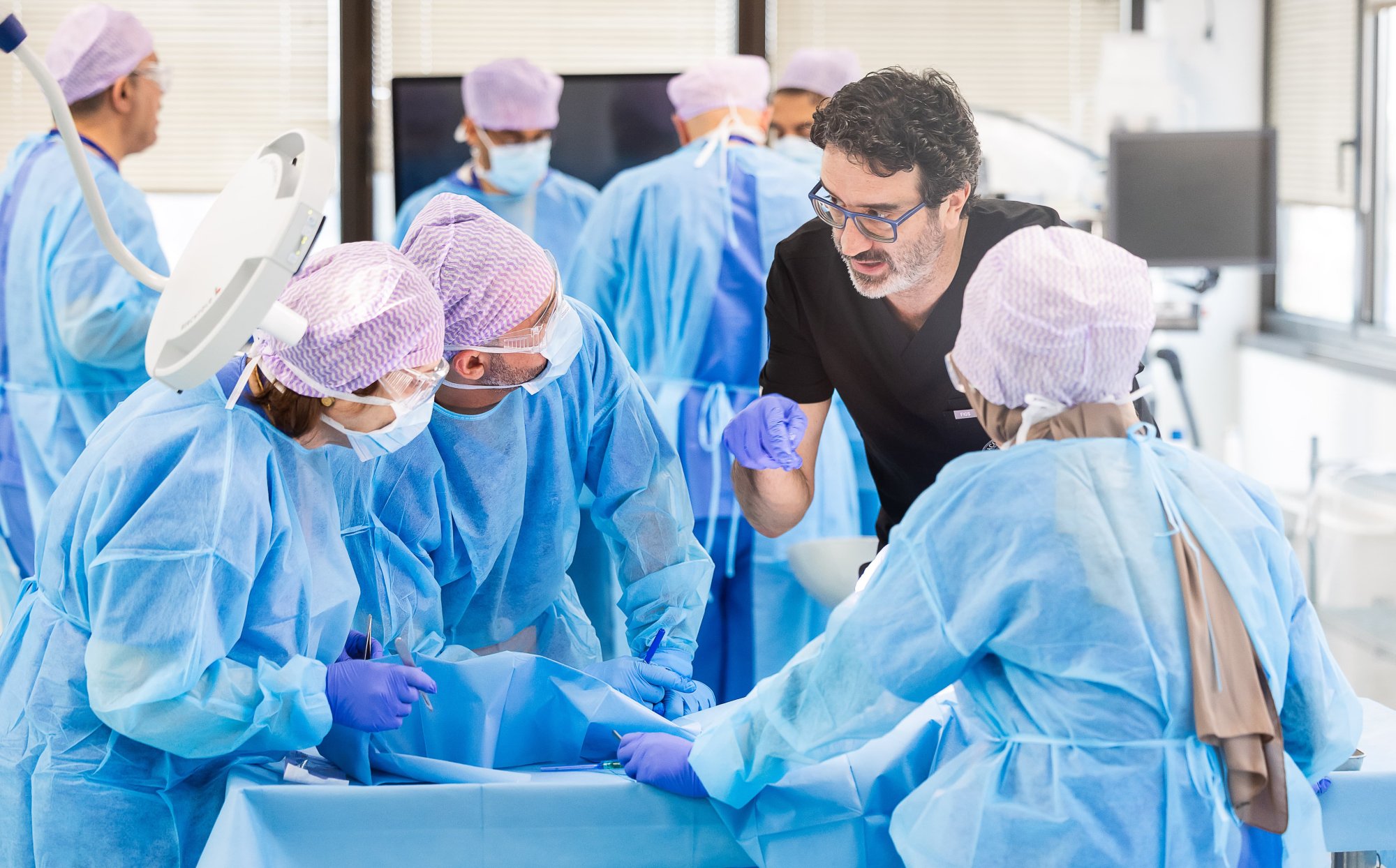HYAMIRA Cadaver Course Verona 12.-13.11.2026