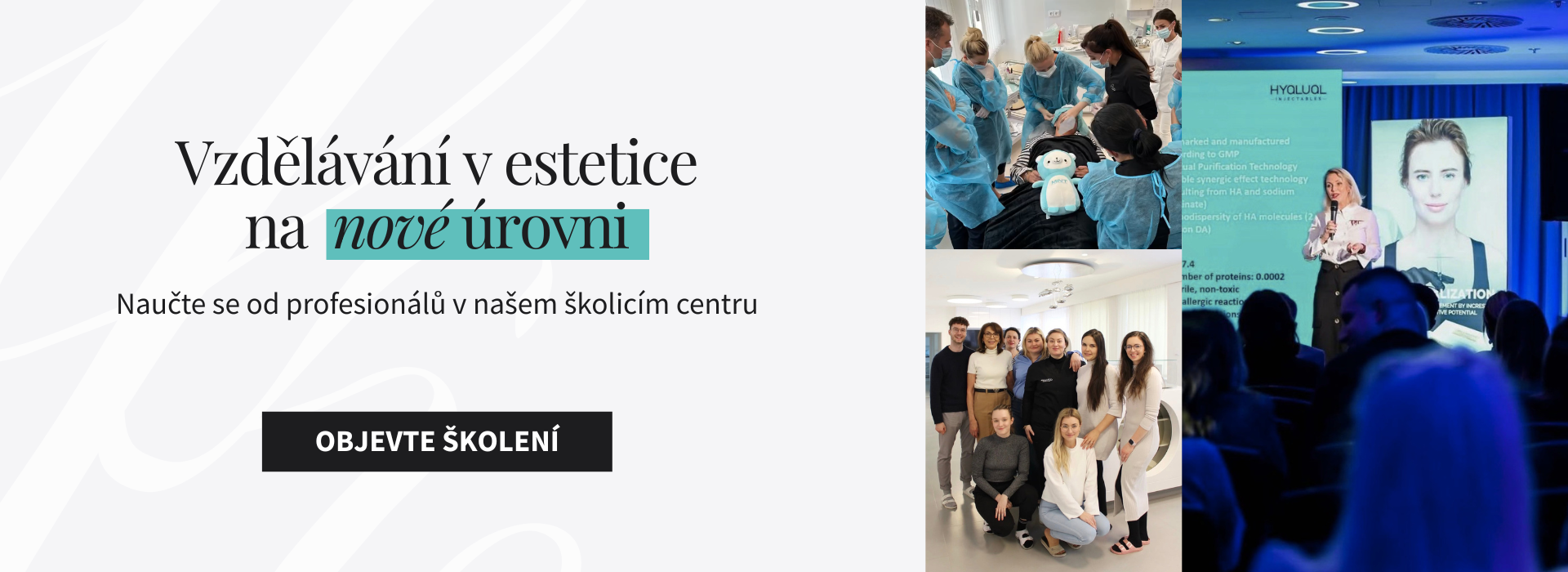 Vzdělávání v estetice na nové úrovni