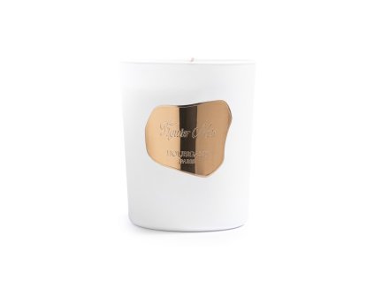 Figuier Noir candle 00