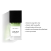 Eukaliptus Patchouli – parfémová voda  Eucalyptus Patchouli