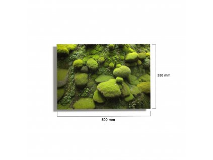 500x350mm premium