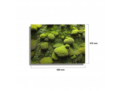 650x470mm premium