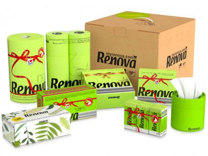 Barevny box renova zeleny
