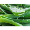aloe vera gel