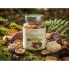 nutricius gummies 11 mushroom complex extrakt 60 gumídků