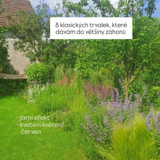 Často mi píšete, že byste trvalky, které dávám do stories, chtěli někam ukládat, tak se budu snažit dávat vám občas svoje...