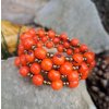 Náramek ze semínek Acai